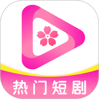 老司机开车APP应用